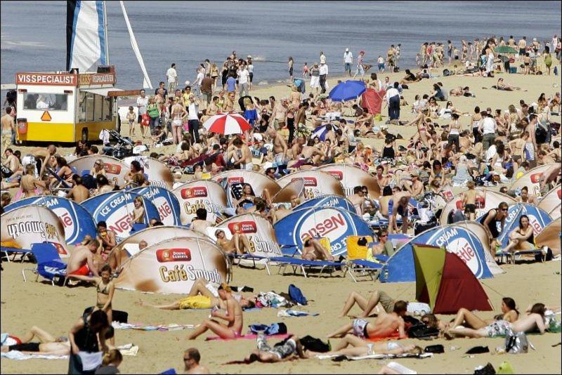 Studio Zandvoort Værelse billede